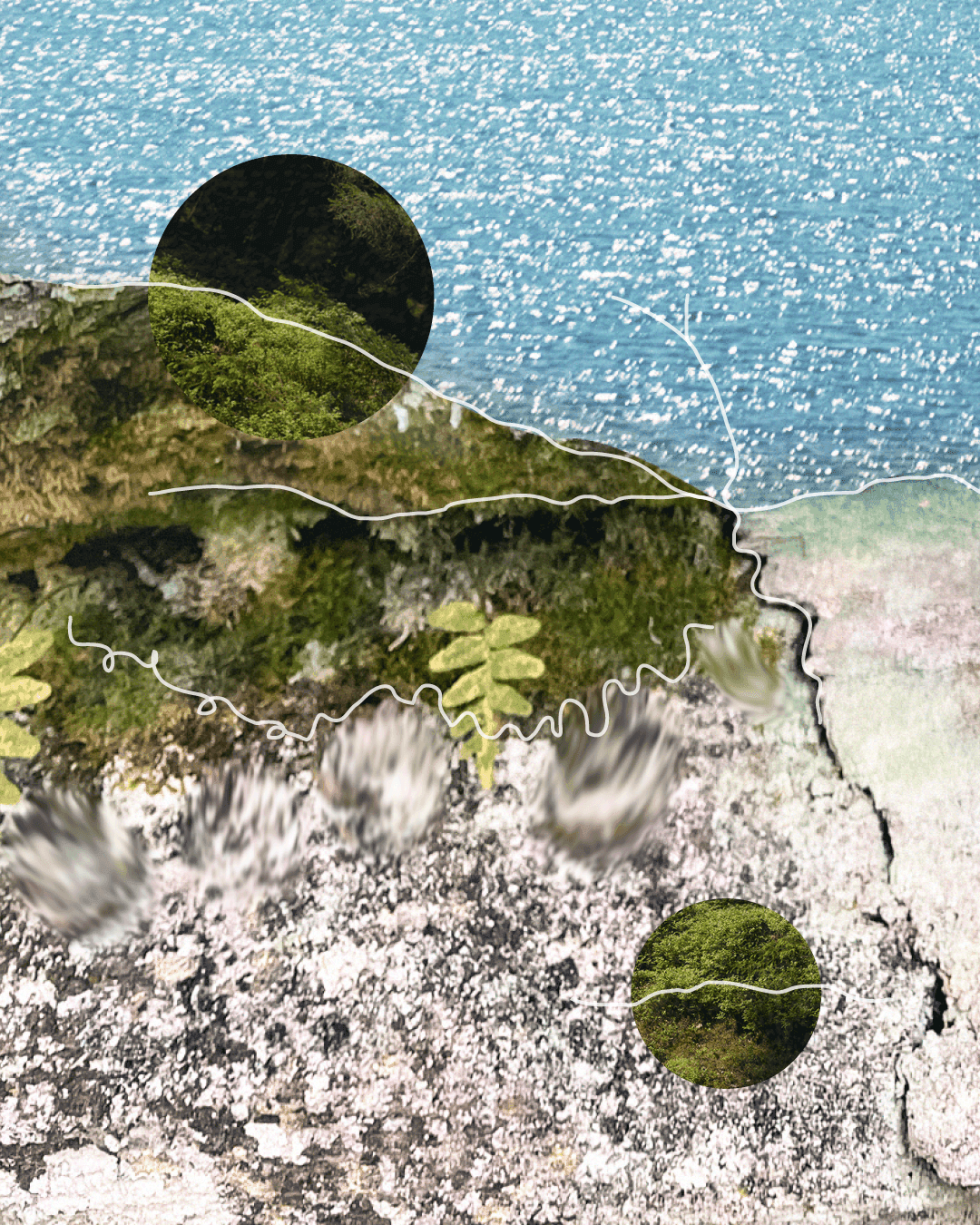 Digitalt collage av skogs- och havsmiljö