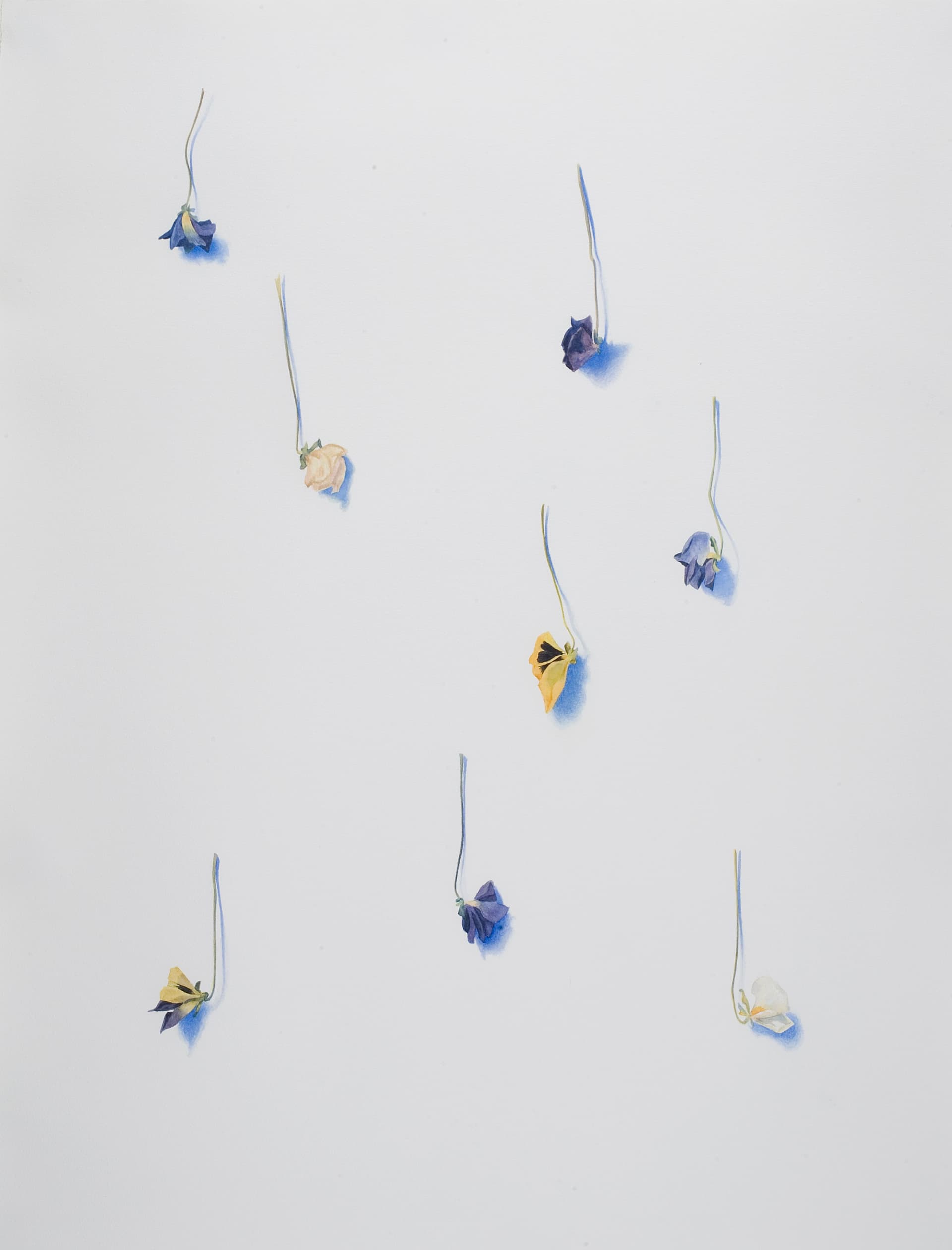 Verk: Anne Koskinen, 25 XII 2000 ur serien VerLust (Steiffmütterchen), 2000