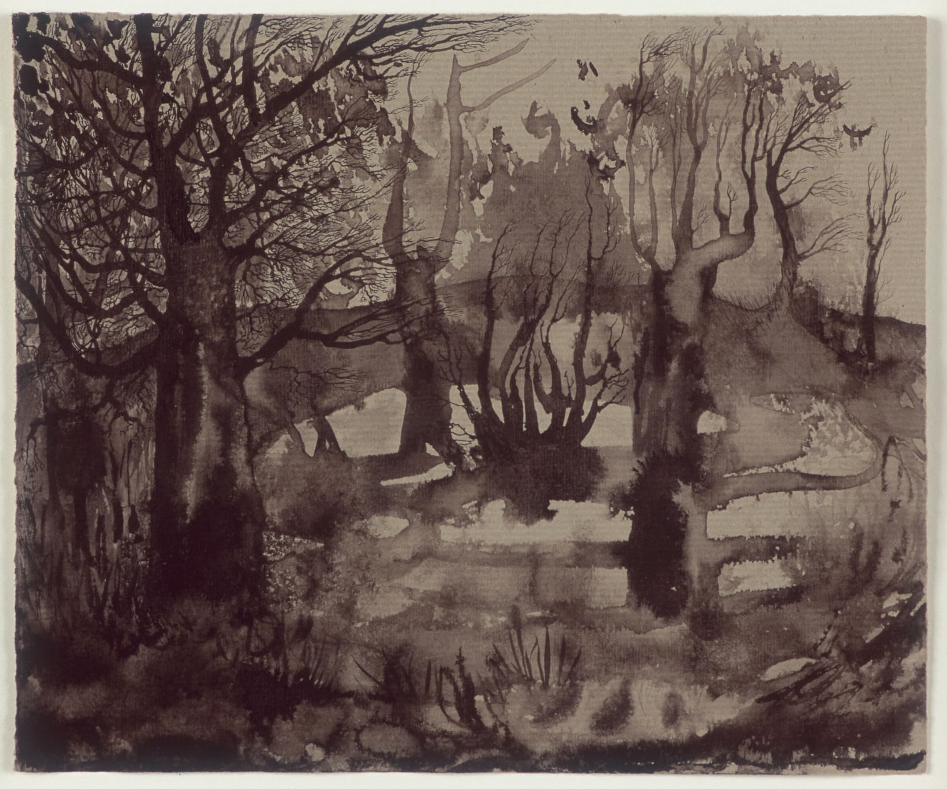 Art work: Elina Merenmies, Swamp, 2004