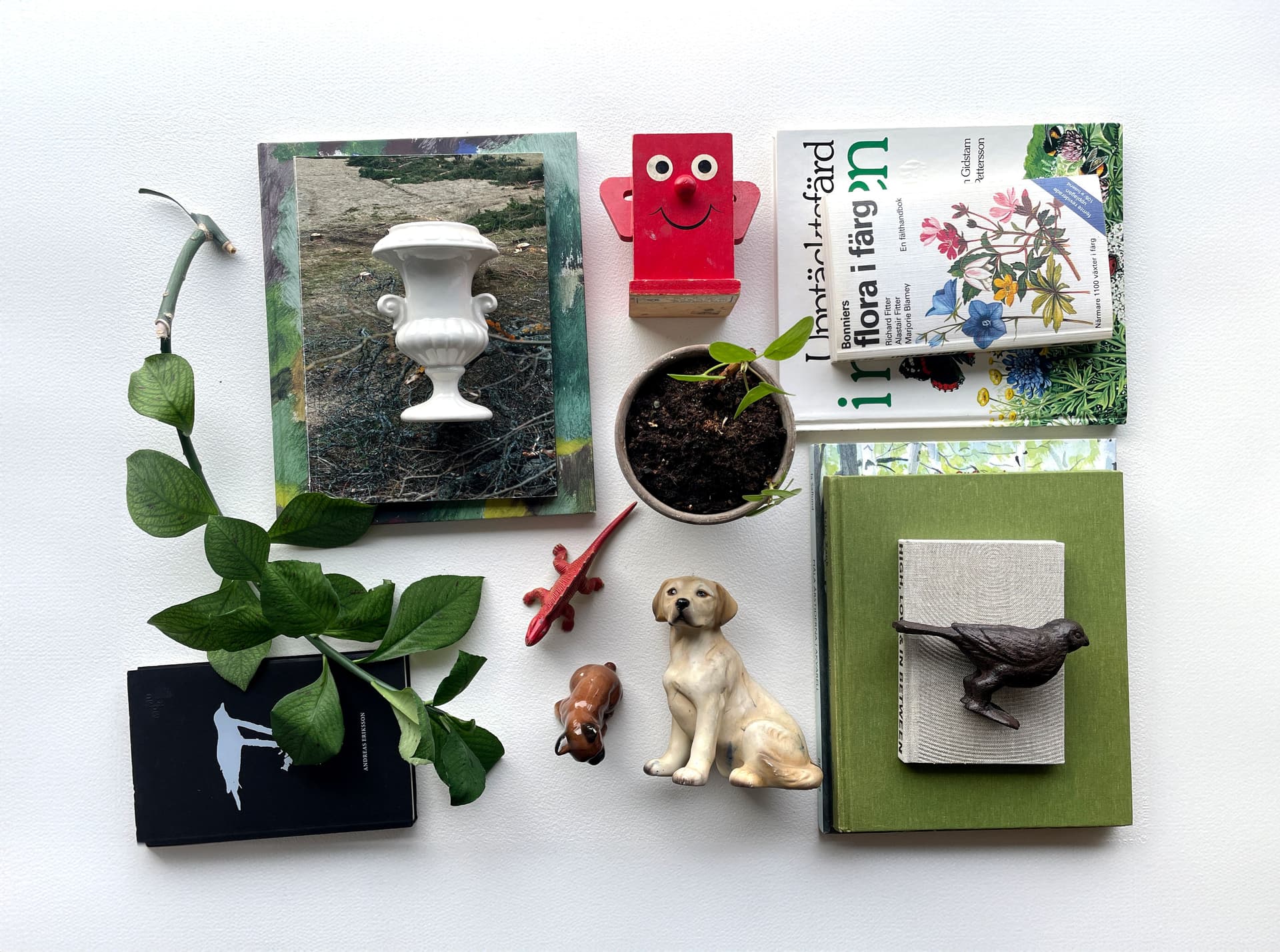 Ett stilleben med skilda objekt, som böcker, figuriner, växter.