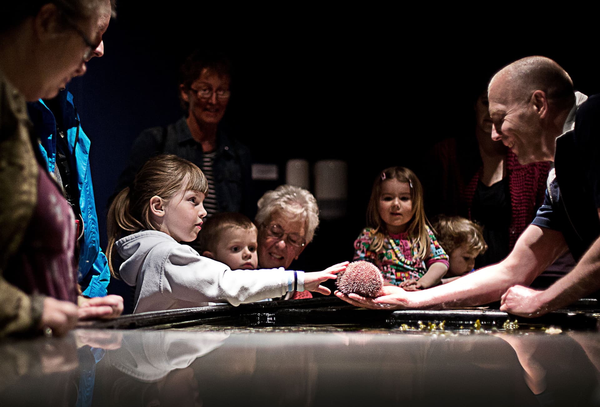 Children pet a sea urchin at a petting aquarium
