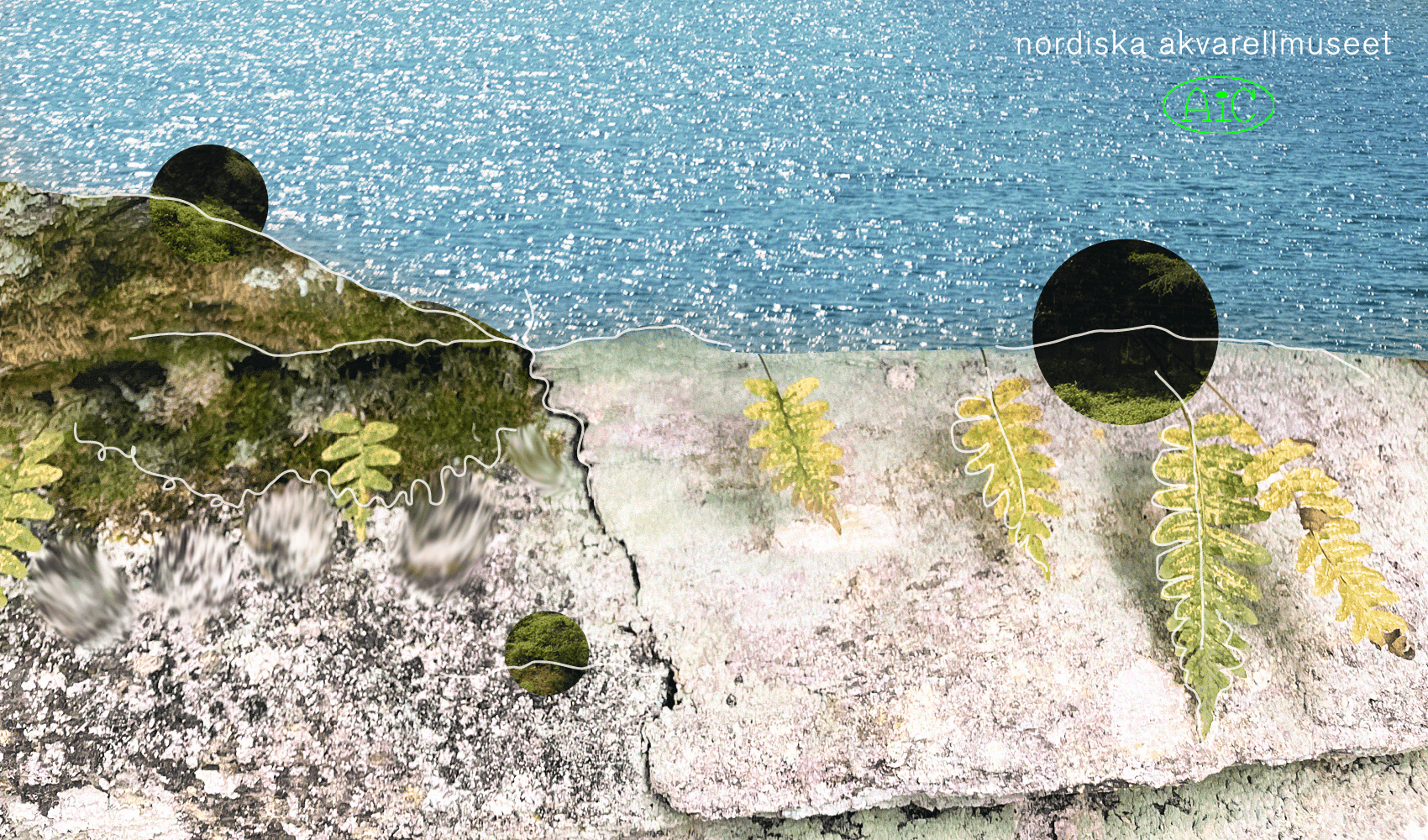 Collage of forest and sea