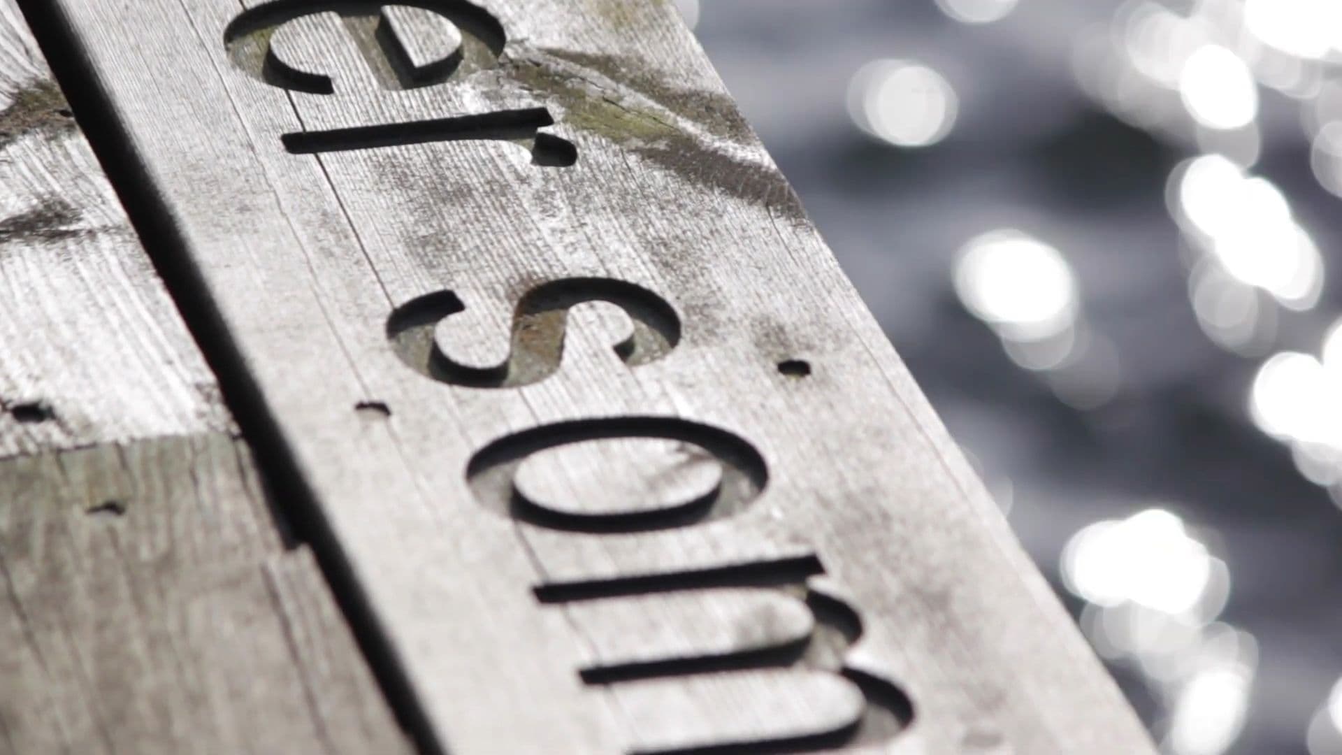 Detail of Gunilla Hansson's work Singing Inhabitants on The Nordic Watercolour Museum's board walk