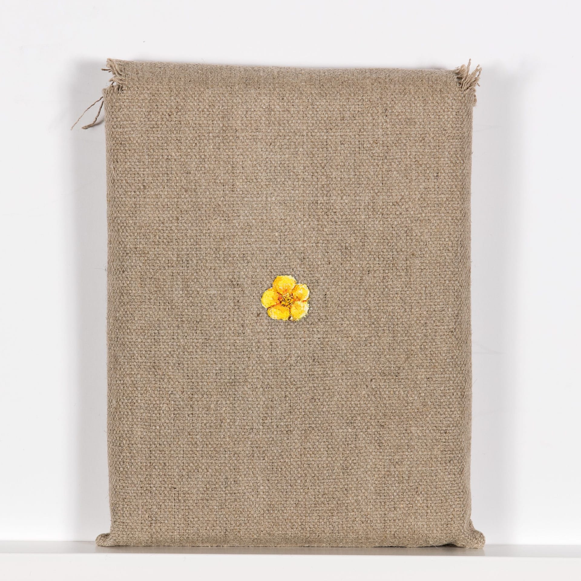 Artwork: Eggert Pétursson, Untitled, 2007