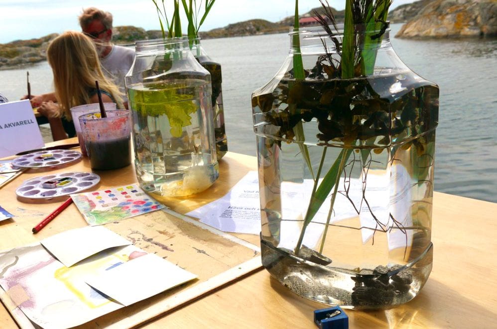 Behåller med sjögräs framför målarmaterial