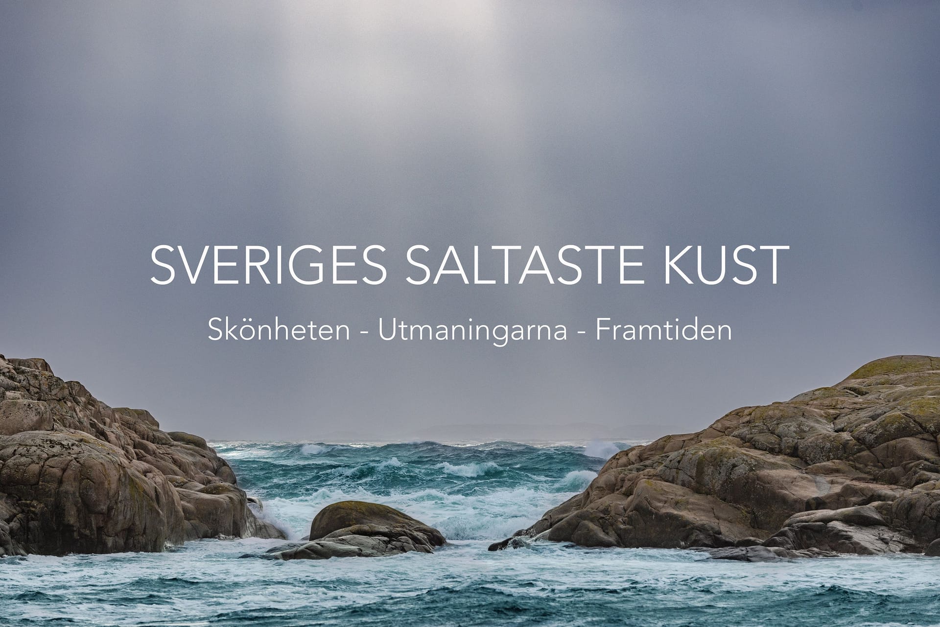 The sea, as well as the text "Sweden's saltiest coast"