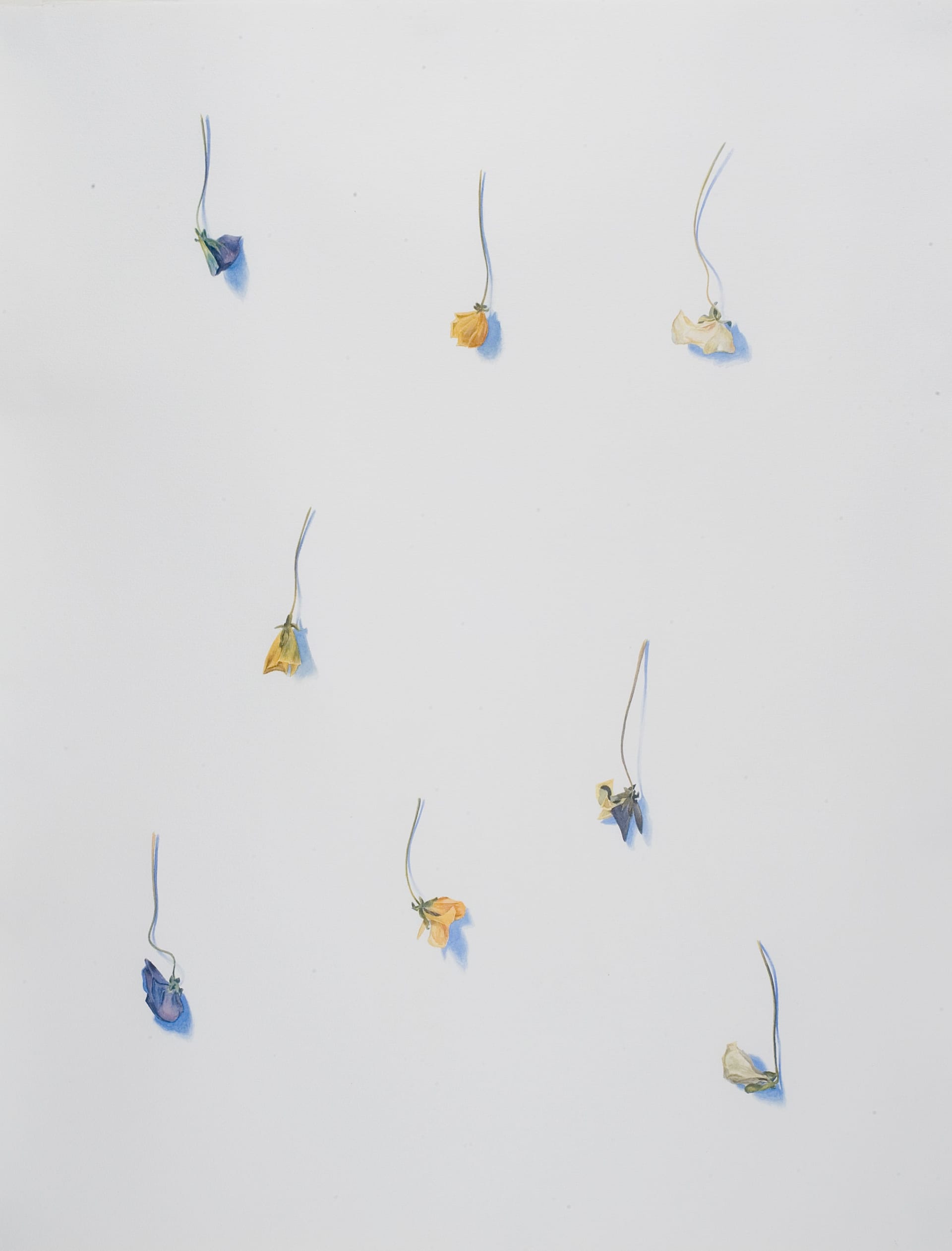 Art work: Anne Koskinen, 24 XII 2000 from the series VerLust (Steiffmütterchen), 2000