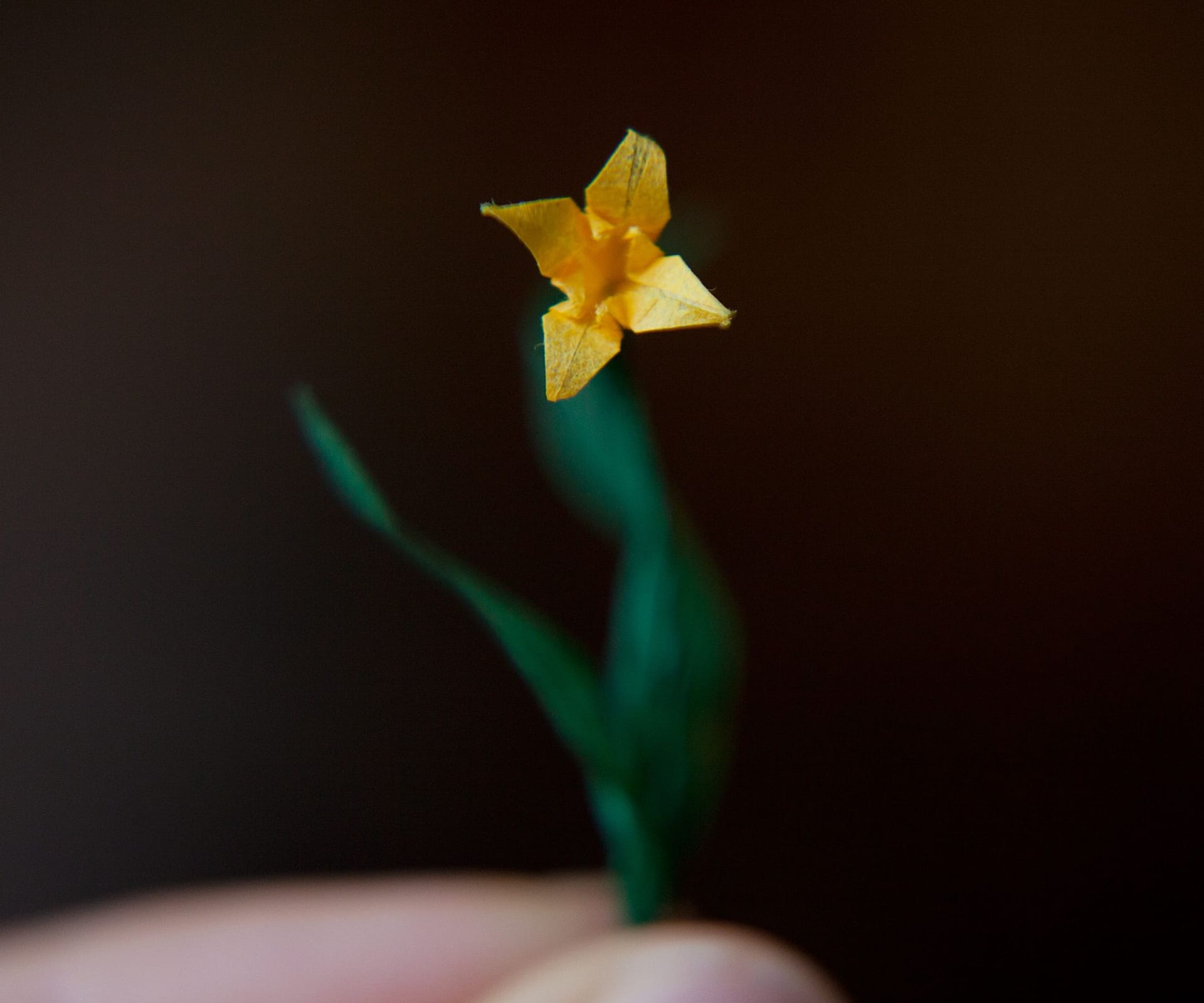 Origami miniatyr i form av en påsklilja