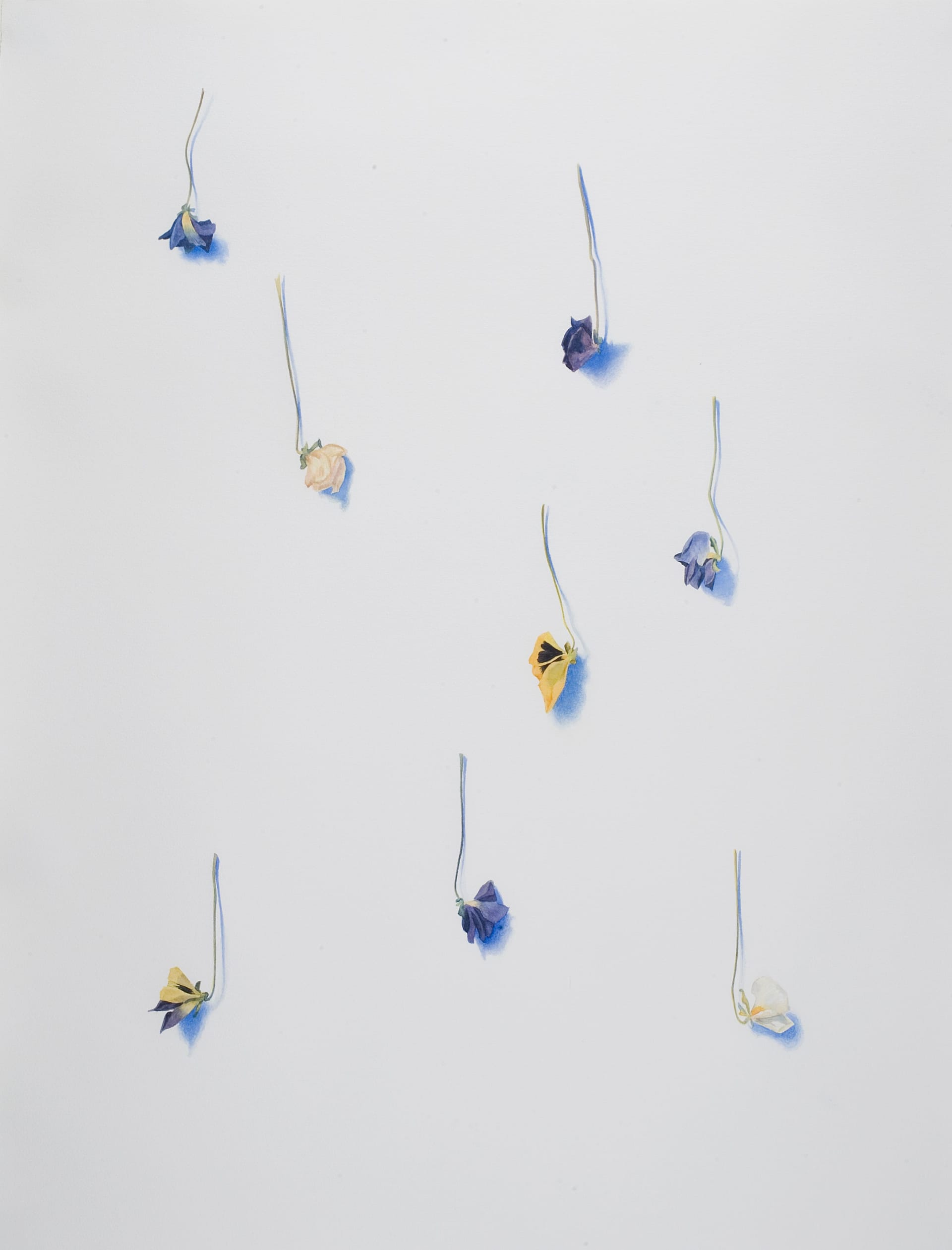 Art work: Anne Koskinen, 25 XII 2000 from the series VerLust (Steiffmütterchen), 2000