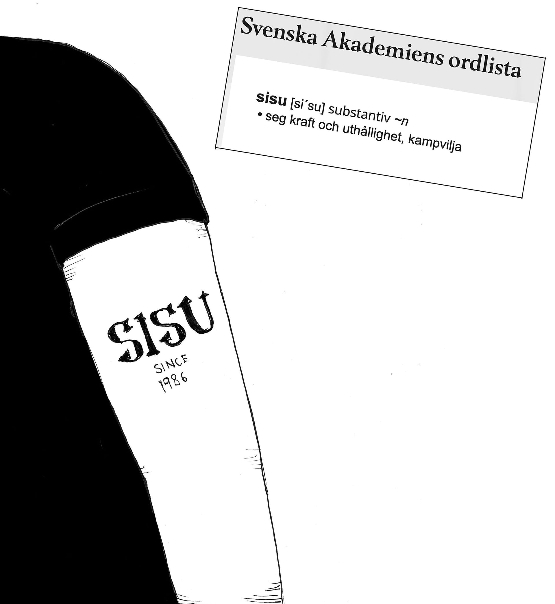 Mats Kejonen, ur boken Finnkampen: Sverigefinnarnas illustrerade historia