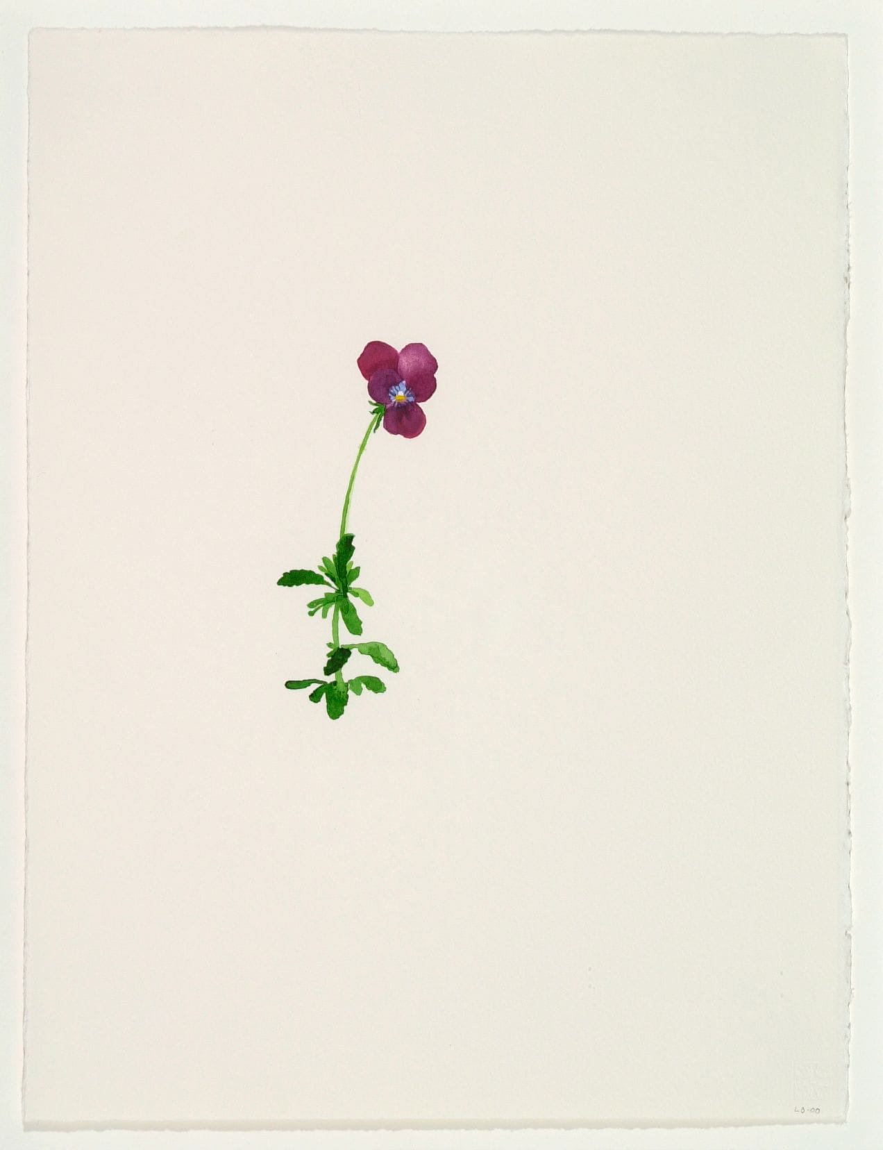 Art work: Line Bergseth, Flowers and Weeds, 2000