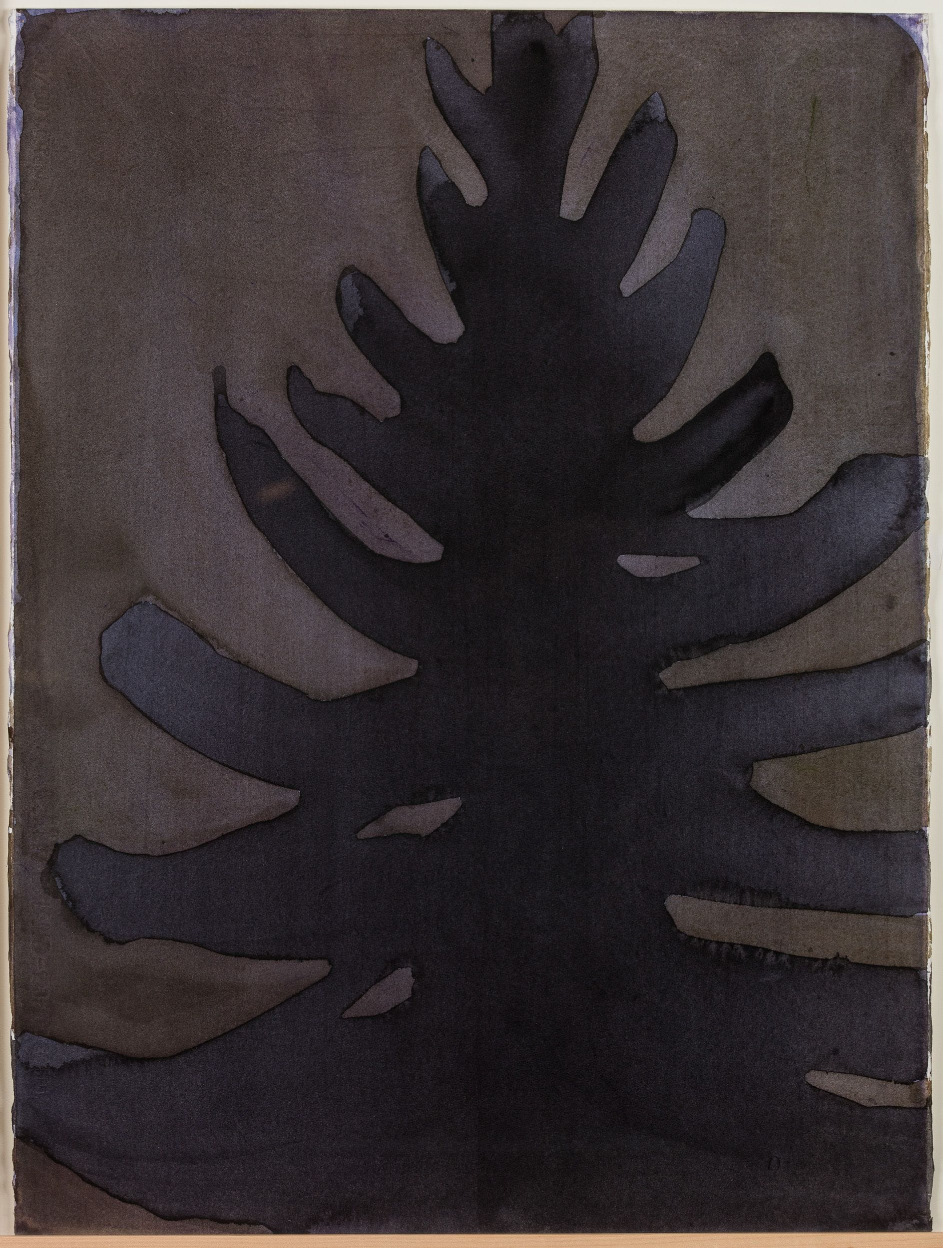 Fir tree