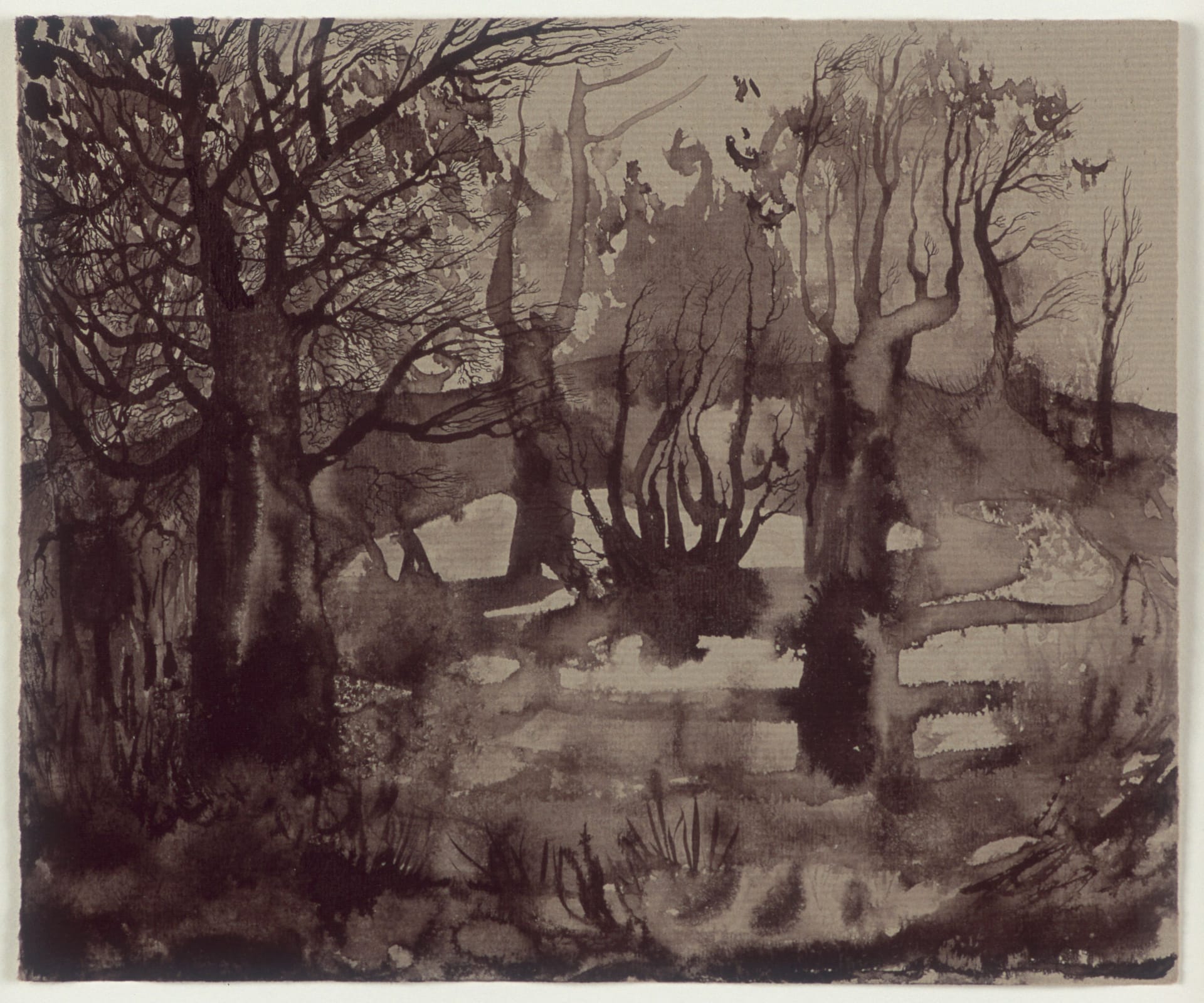 Konstverk: Elina Merenmies, Swamp, 2004