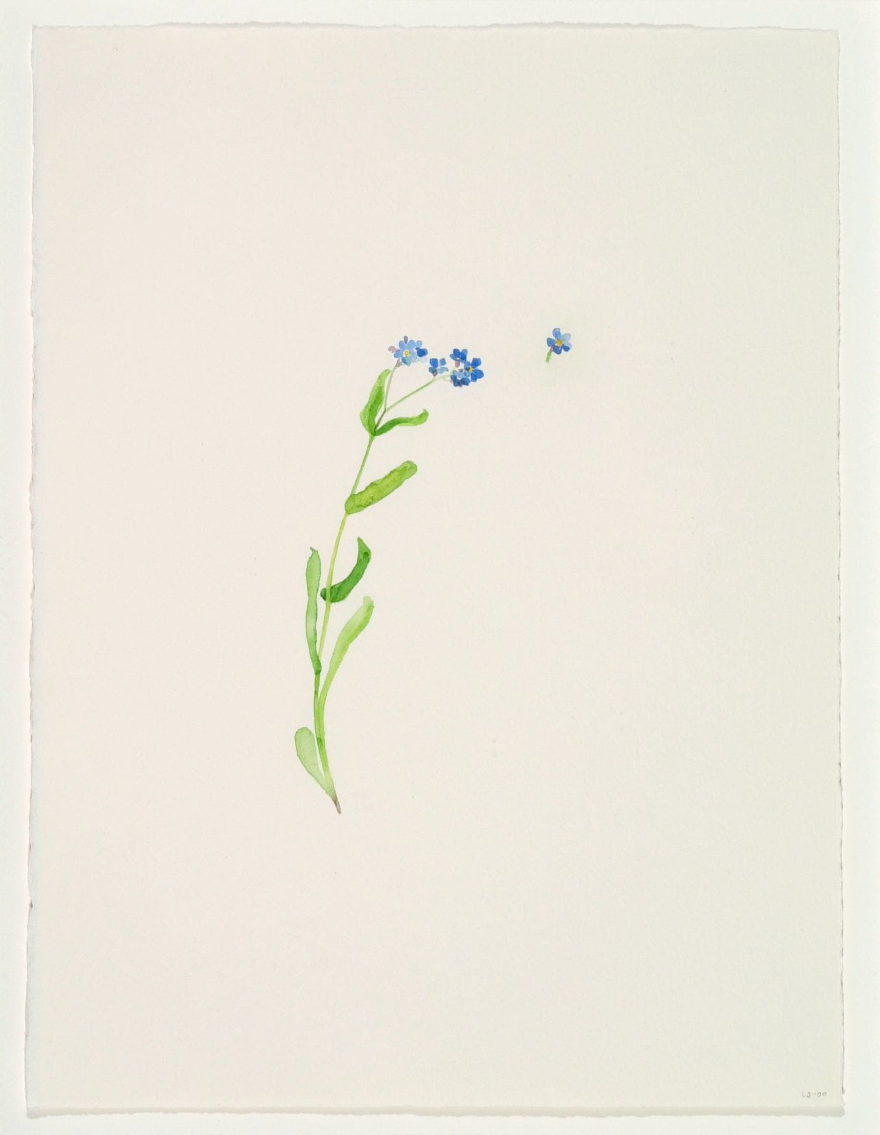 Art work: Line Bergseth, Flowers and Weeds, 2000
