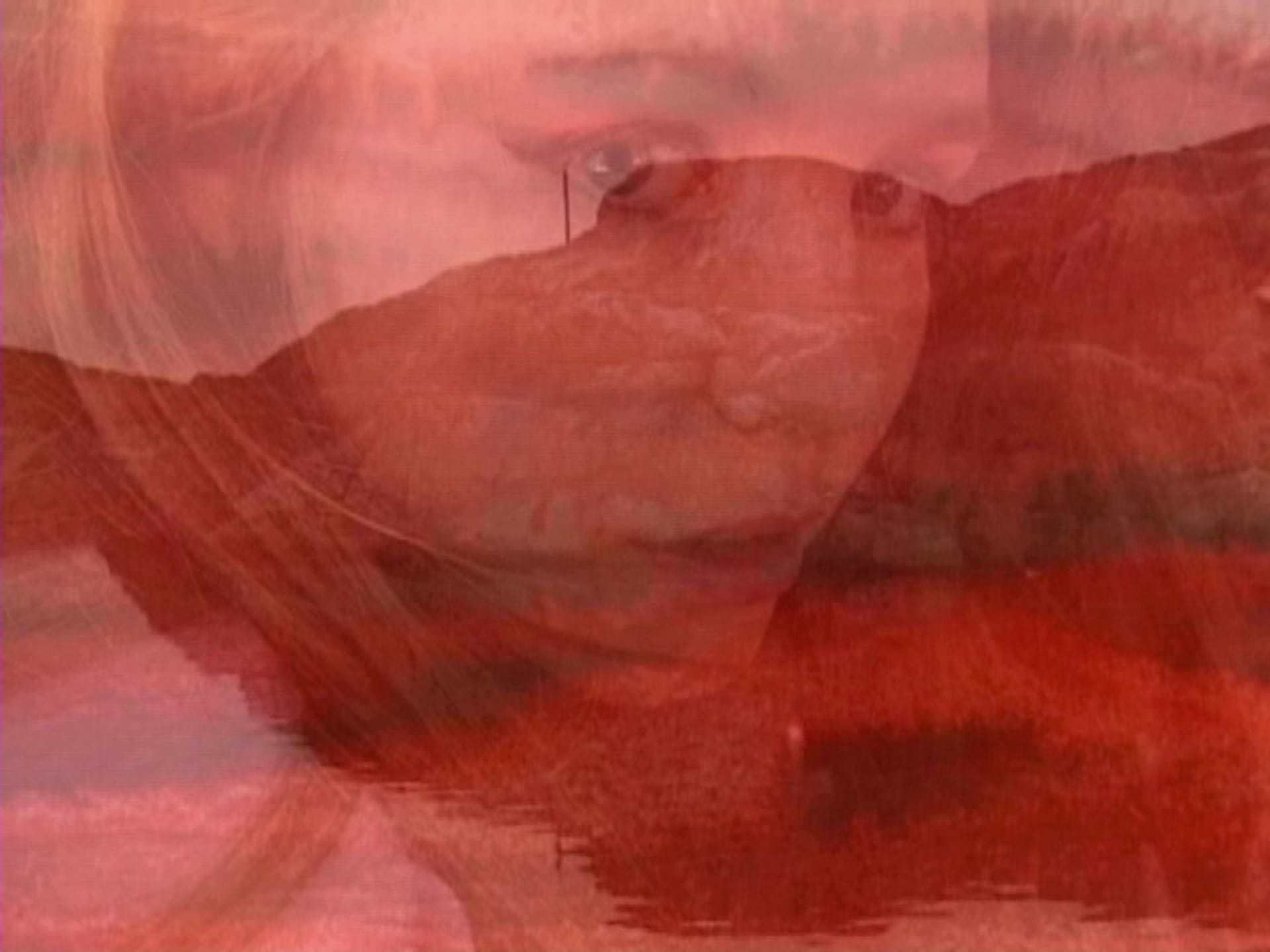 Artwork: Lena Mattsson, still image from Study In Scarlet 1-3, 2004