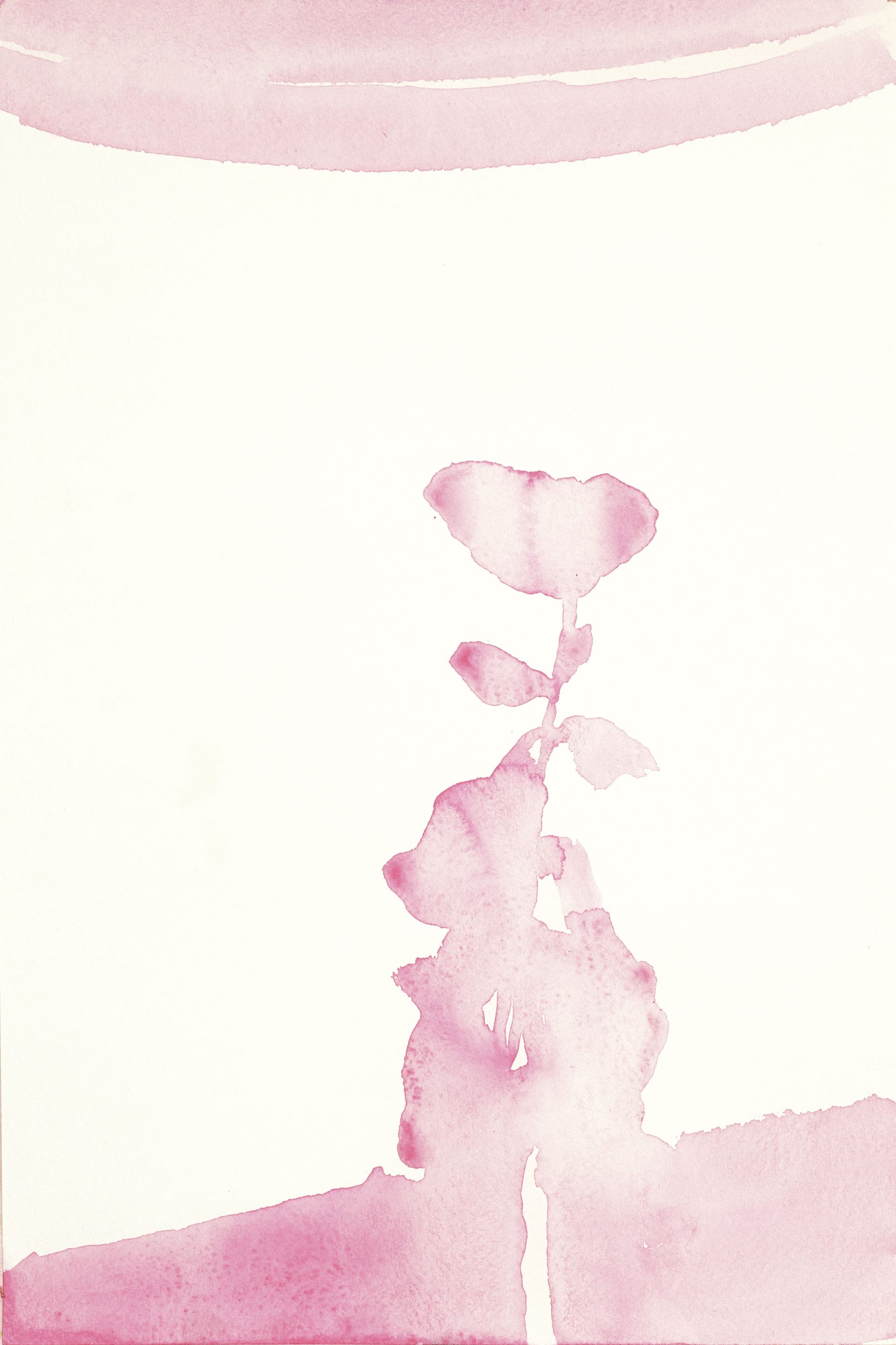 Konstverk: Glenn Sorensen, Blomma och ljusskugga, 2003
