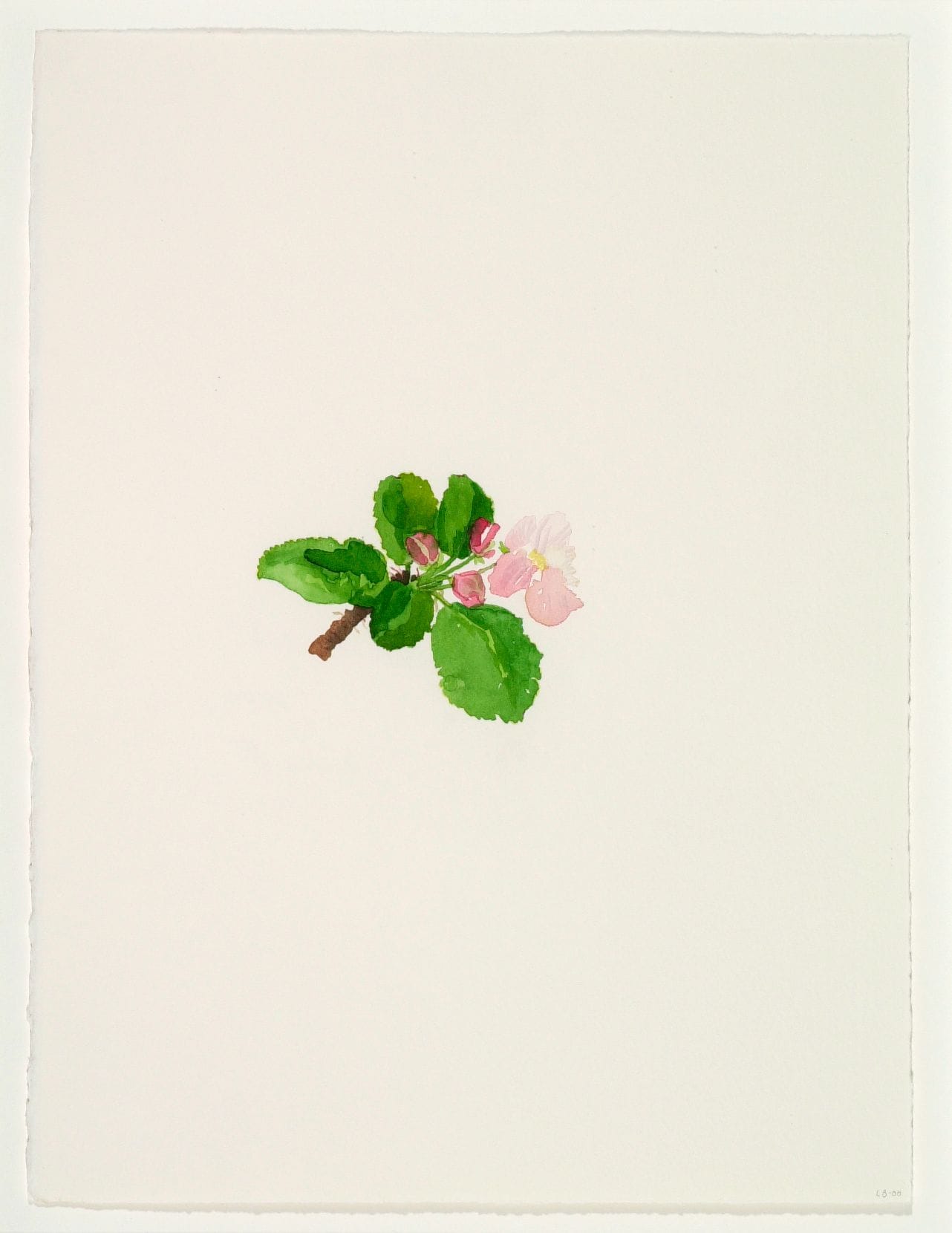Art work: Line Bergseth, Flowers and Weeds, 2000