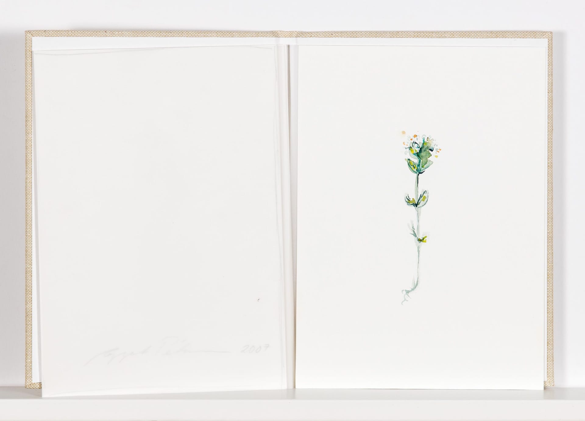 Artwork: Eggert Pétursson, Untitled, 2007