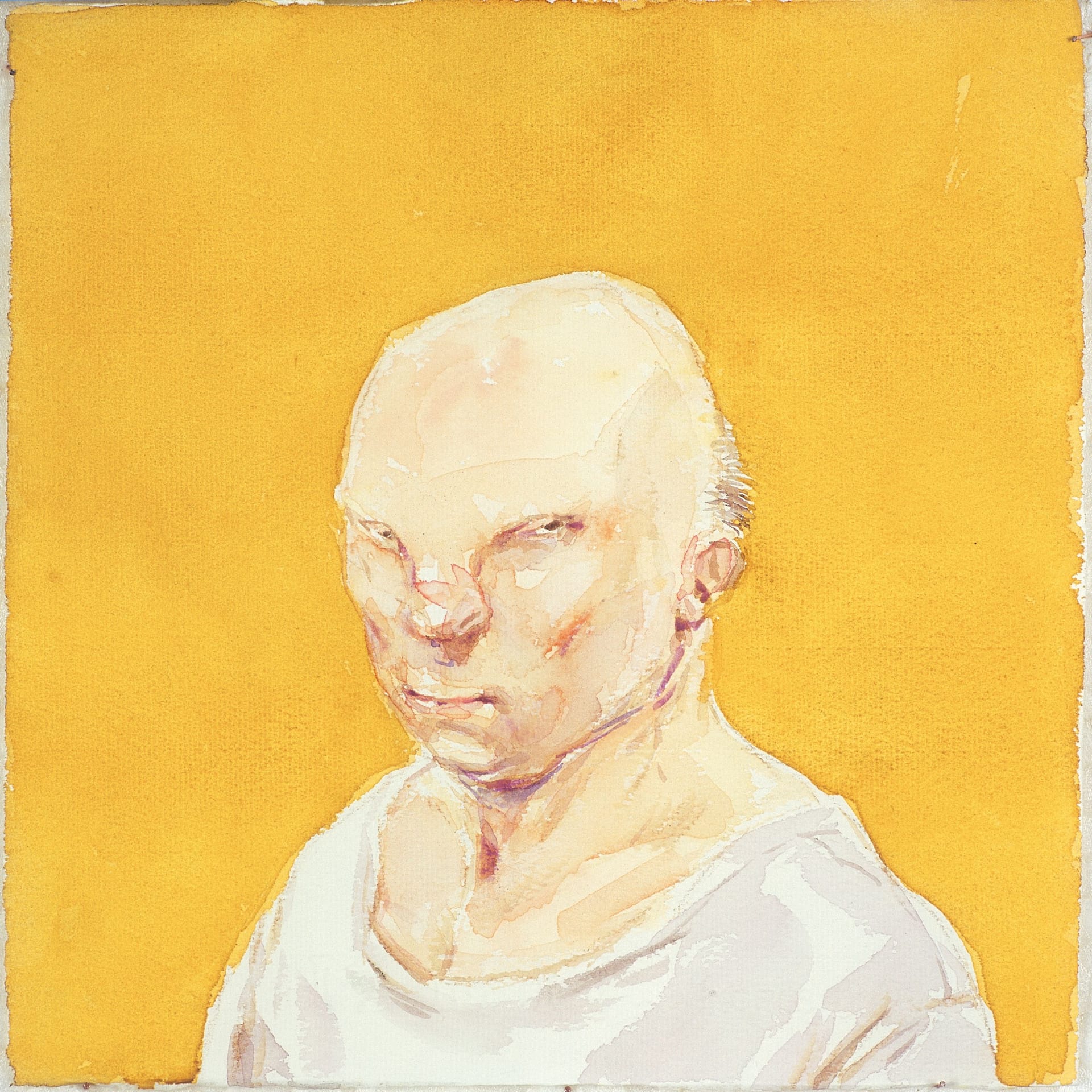 gul