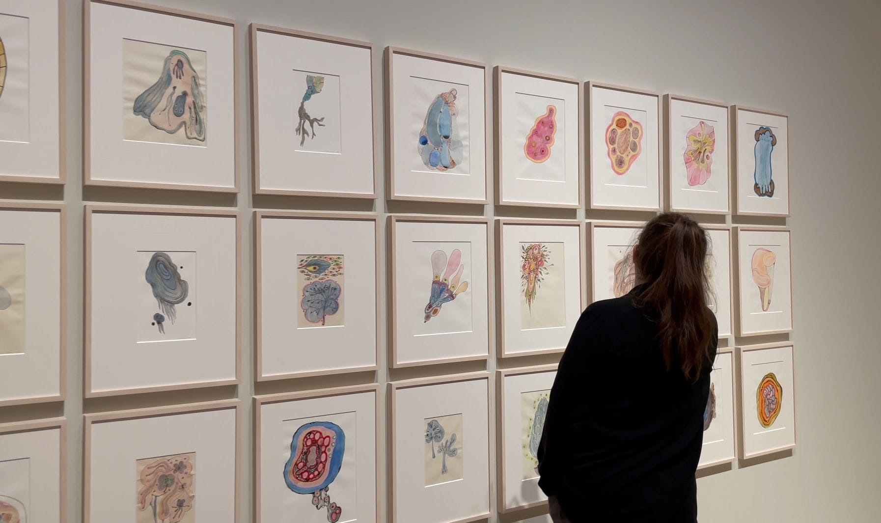 A large number of watercolours on a white exhibition hall