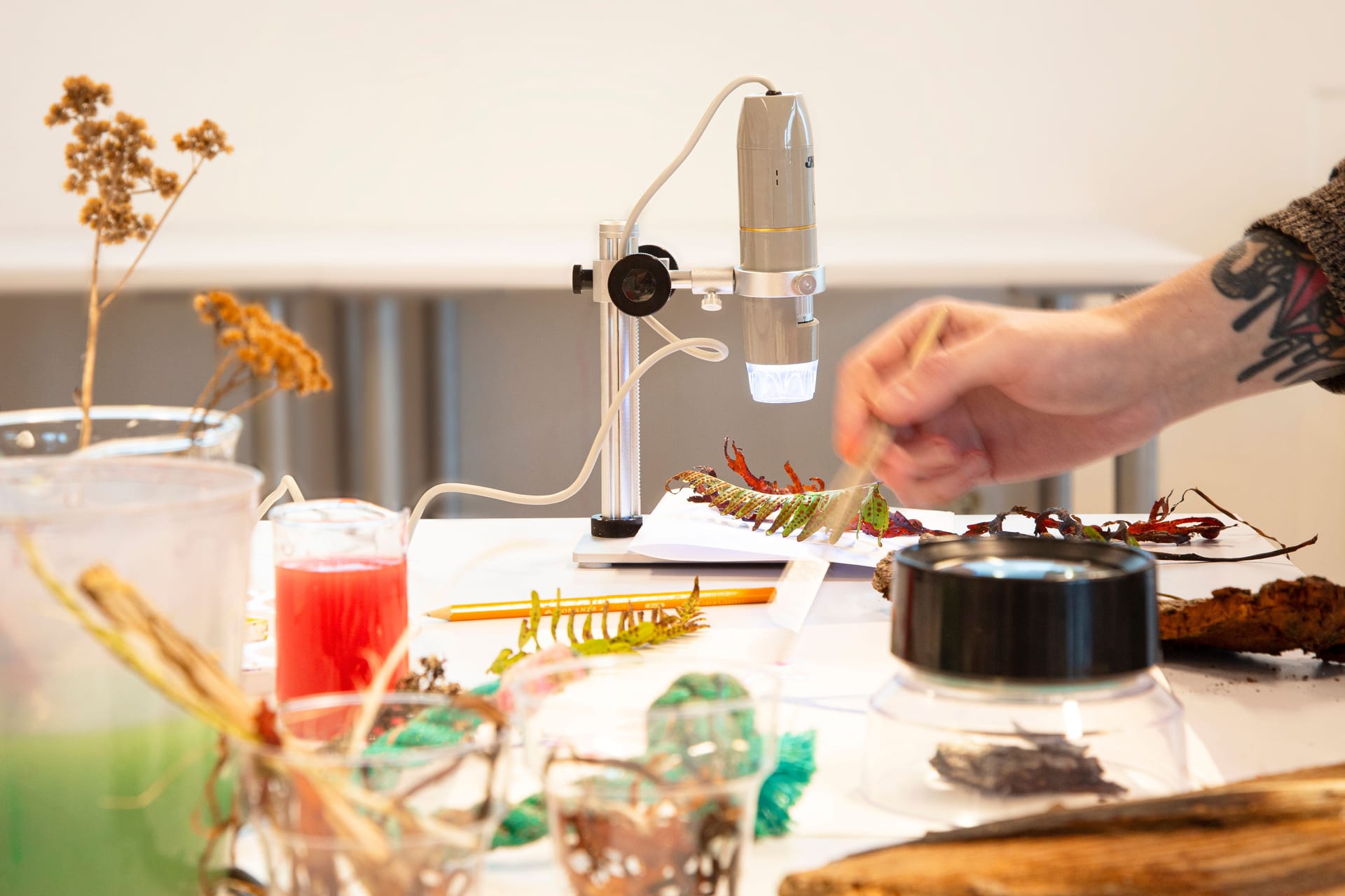 Painting materials and microscope, as well as a hand that paints