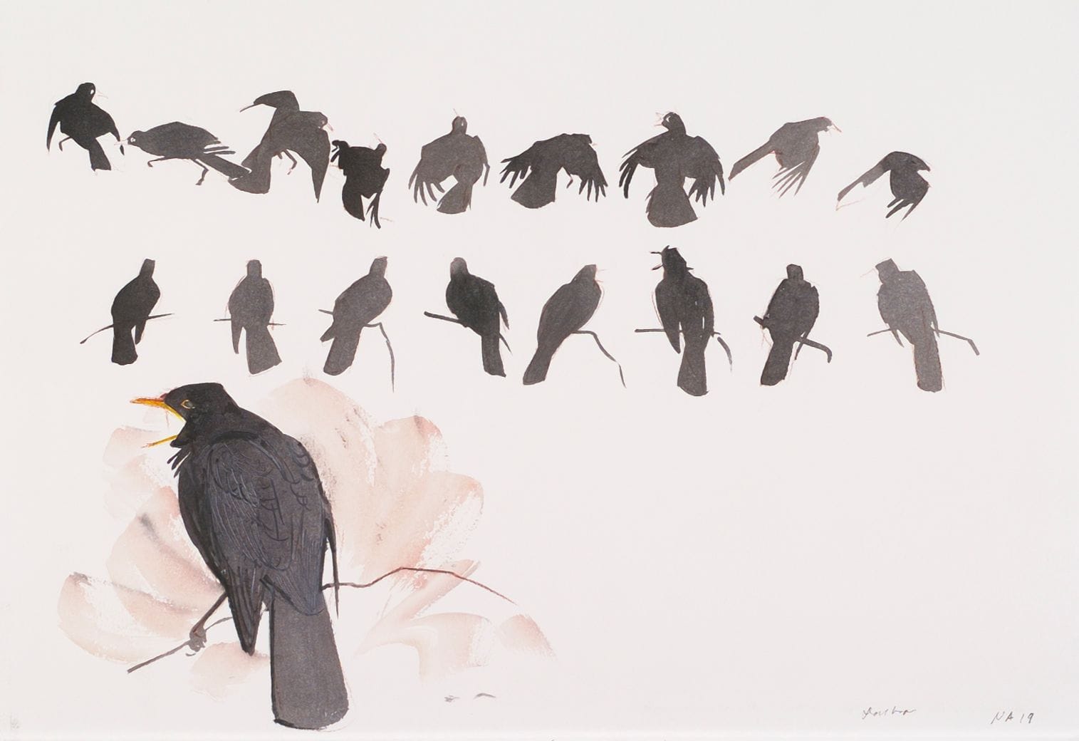 Art work: Göran Dalhov, from the series "Watercolours", Blackbird Battle, undated