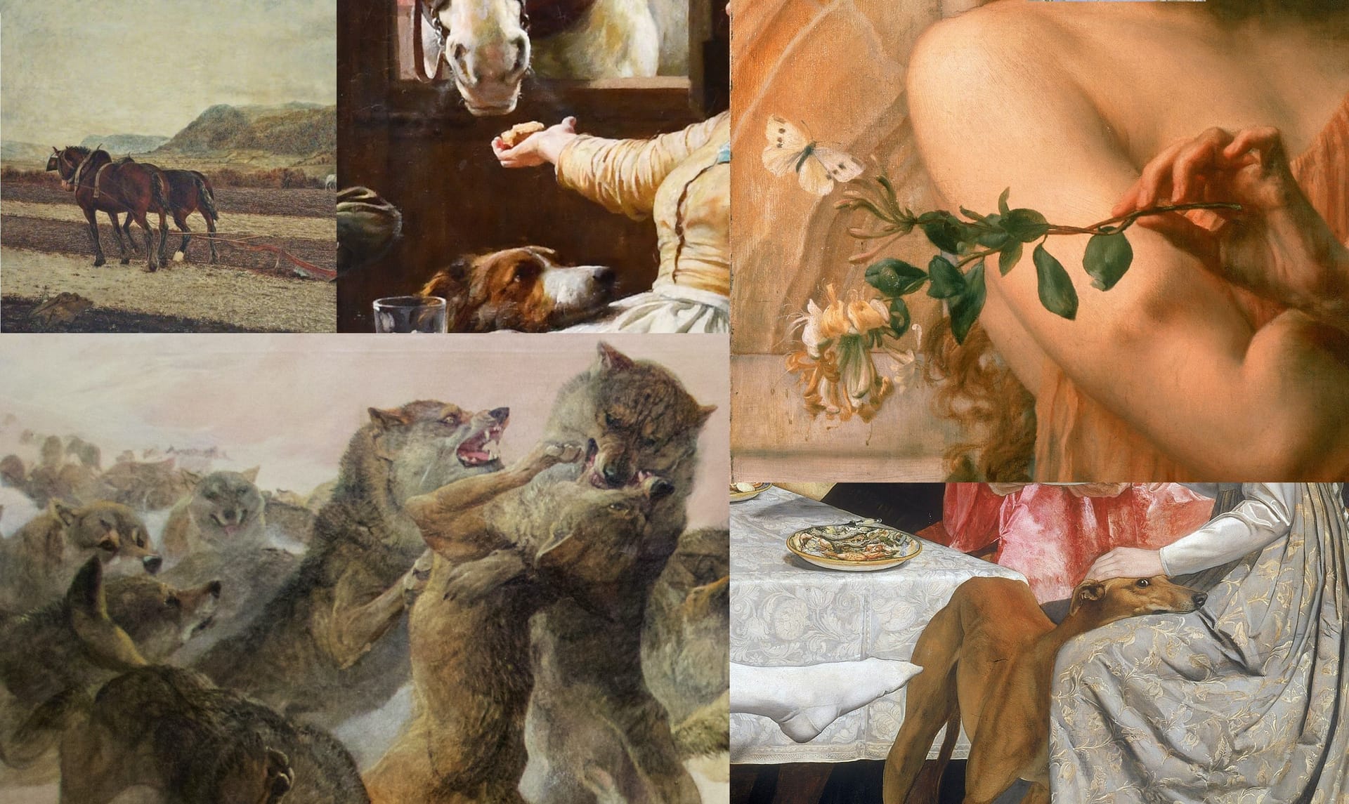 A collage of artwork containing animals