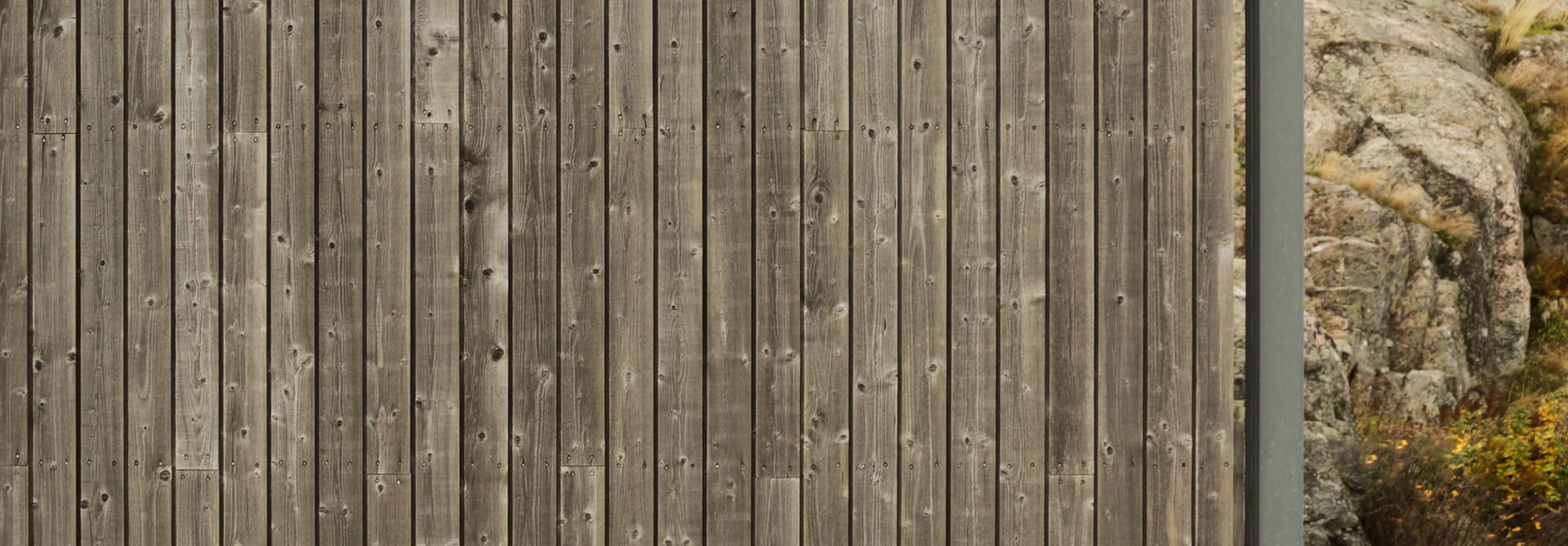 wall