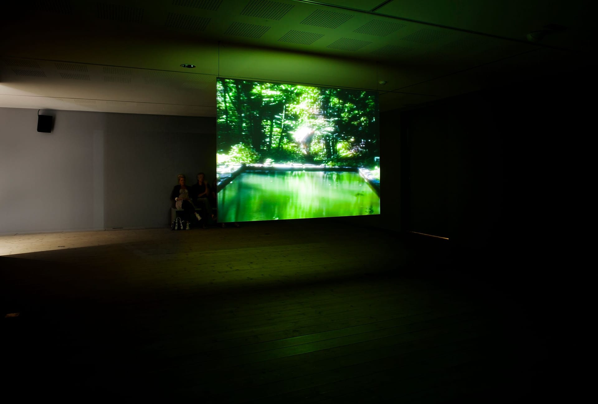 Dimly lit exhibition room with video works in green.