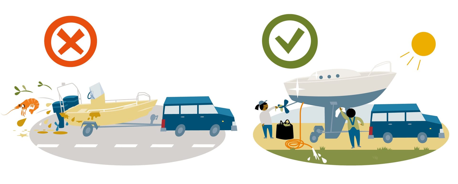 Illustration of what to do with invasive species