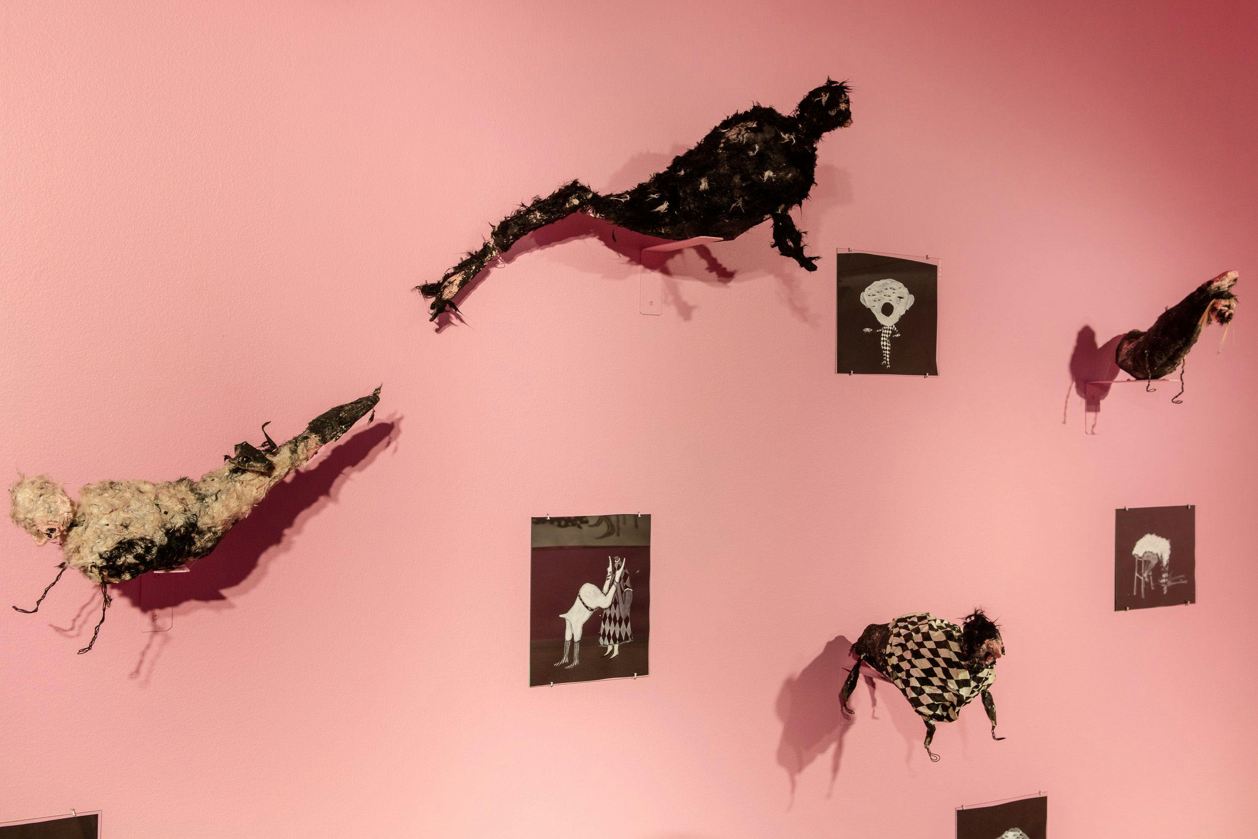 Bilder och skulpturer av Sigga Björg Sigurðardóttir på rosa vägg