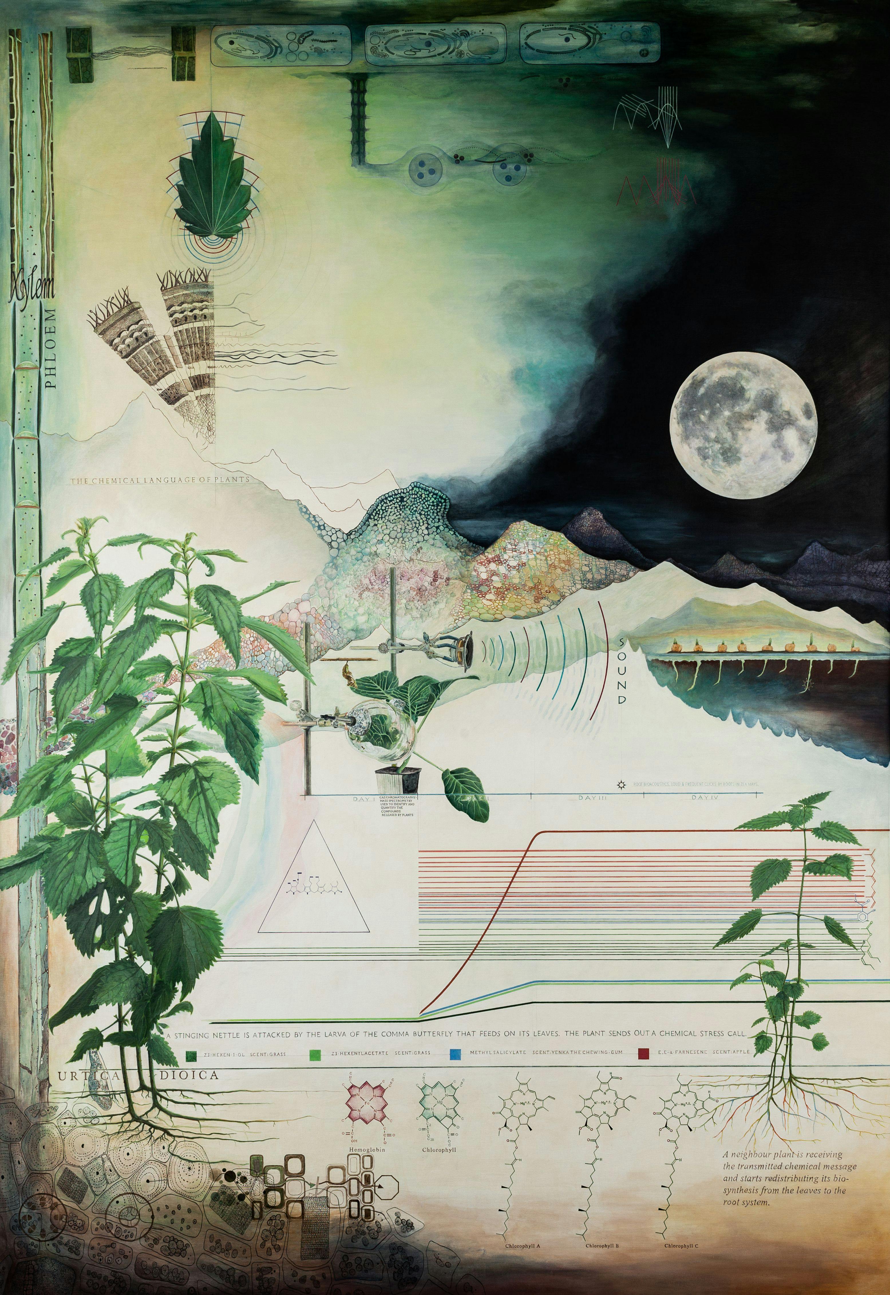 Artwork: Christine Ödlund, Plant Perception 1, 2015