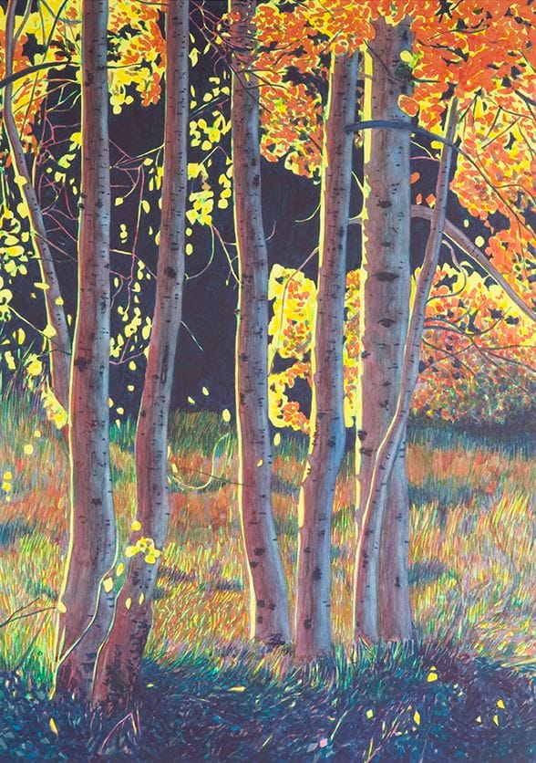 Artwork: Martin Jacobson, Birches Evening II, 2012
