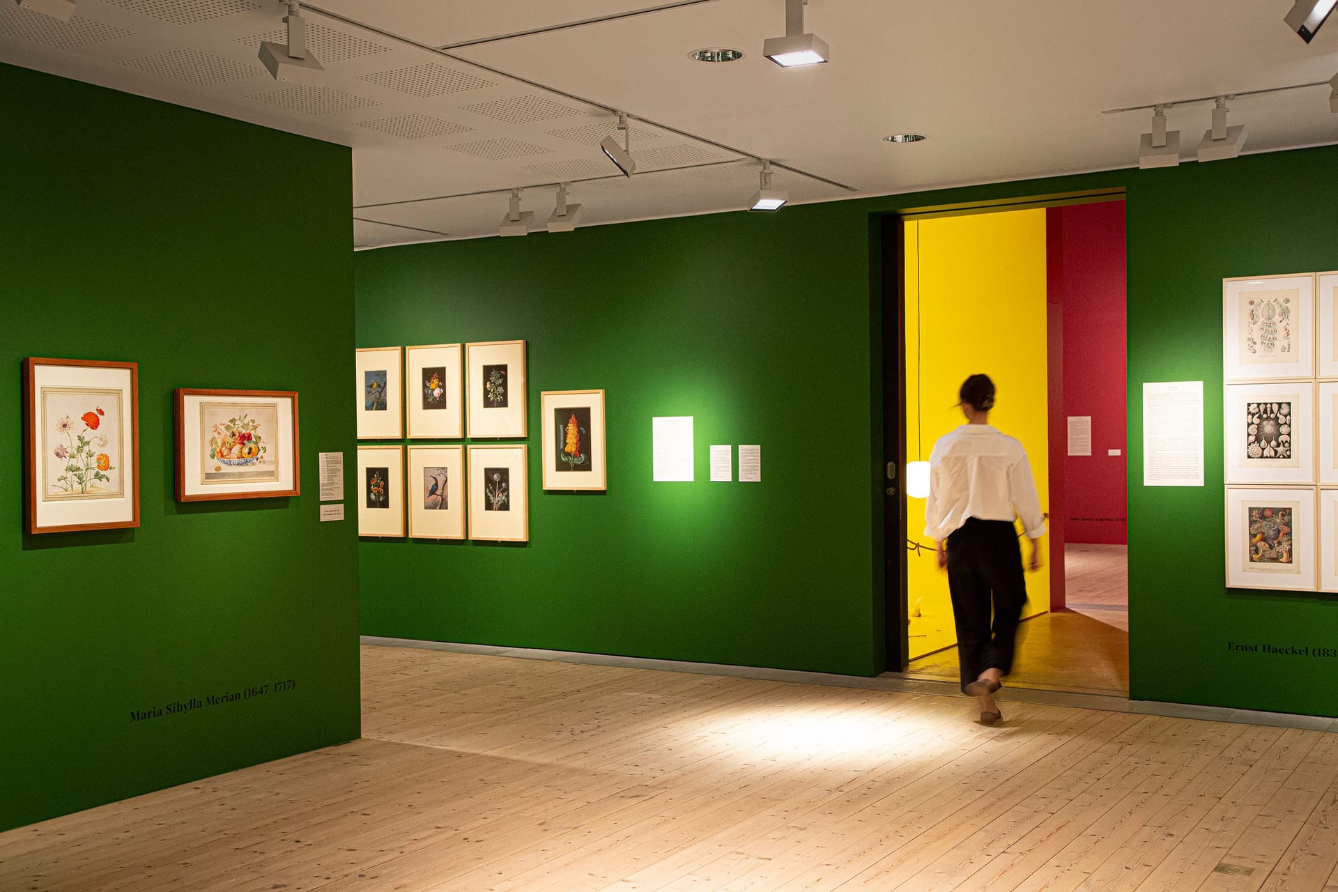 Colourful exhibiton halls