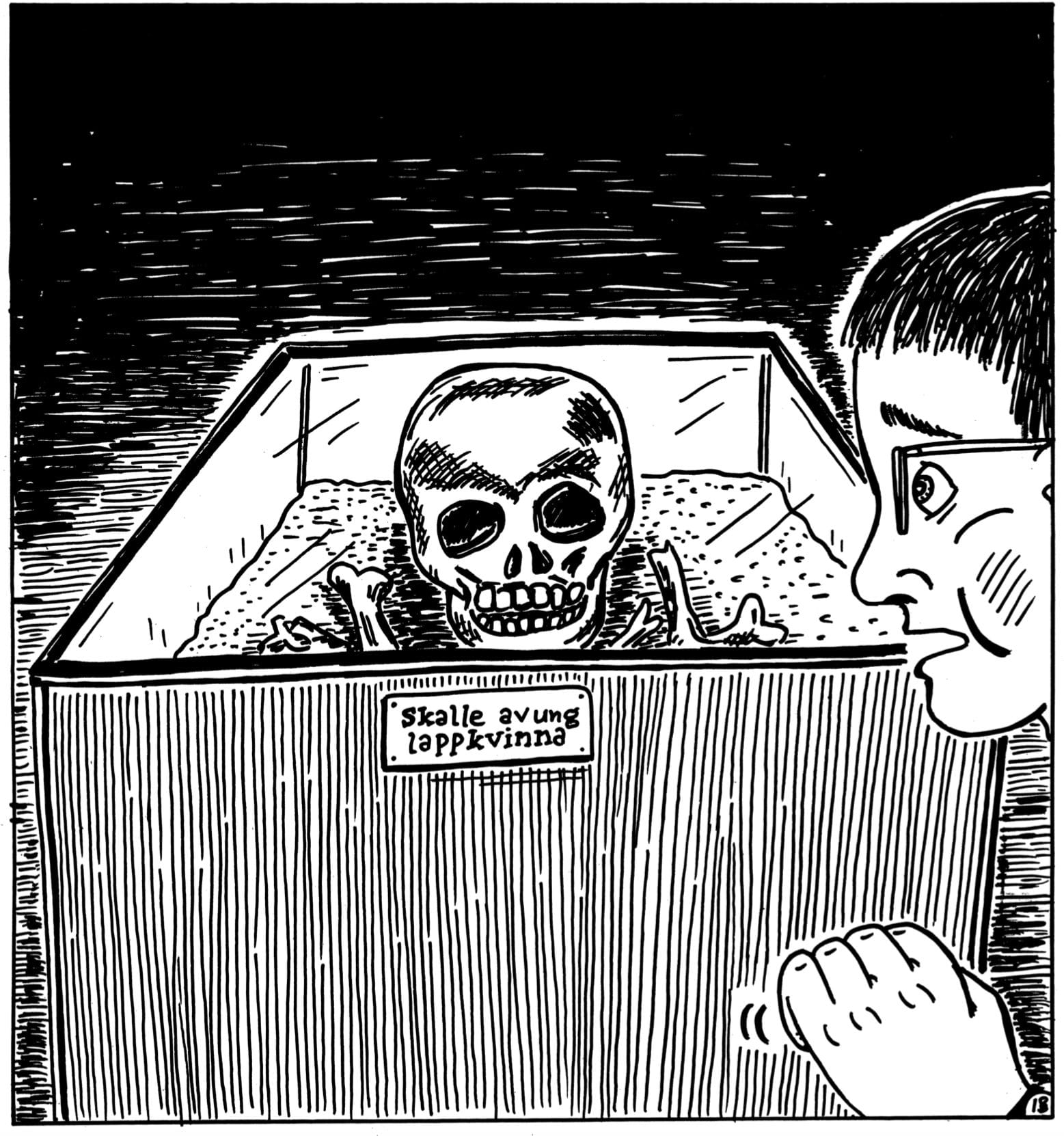 Comic strip from the book "When We Were Sámi" by Mats Jonsson