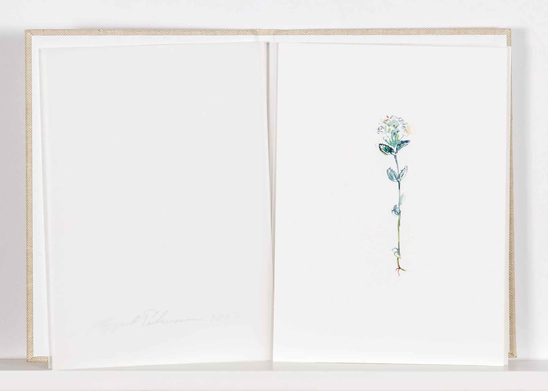 Artwork: Eggert Pétursson, Untitled, 2007